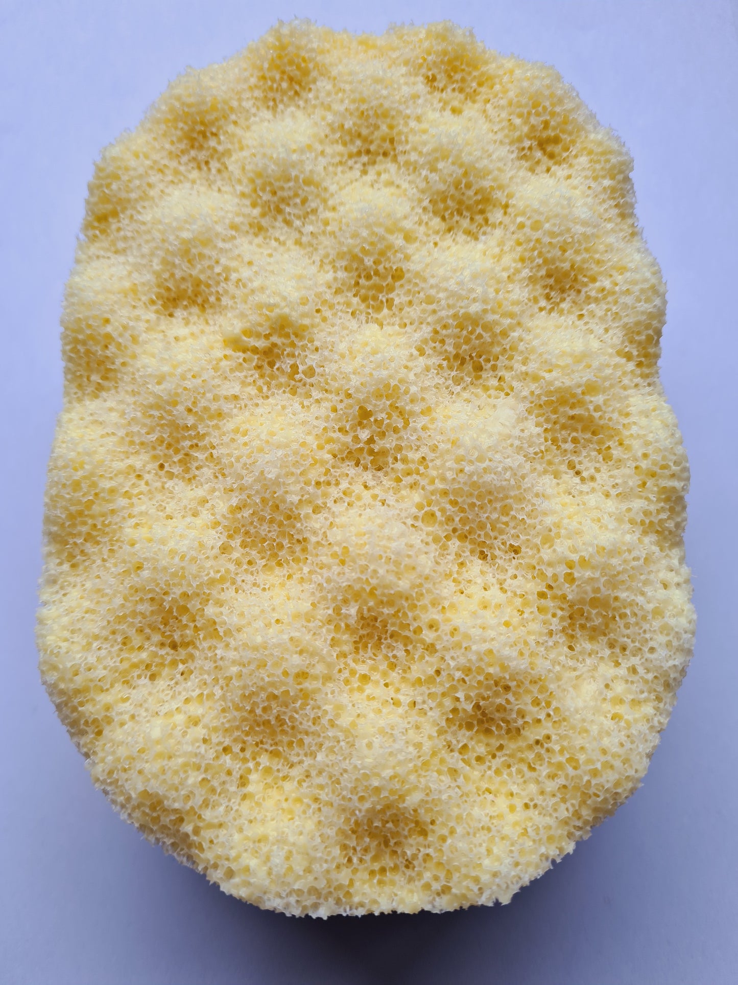Exfoliating Soap Sponge