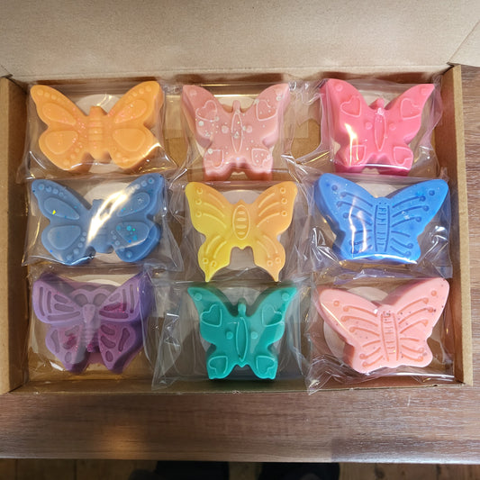 Nine Piece Spanish Cleaning Butterfly Box